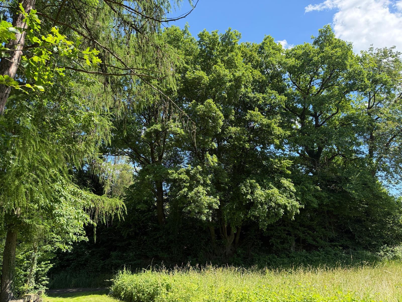 Tolle Aussichtslage mit unverbaubarem Weitblick! Wohnen und arbeiten unter einem Dach!