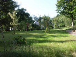 Platz für Kinder und Hunde Platz für Kinder und Hunde